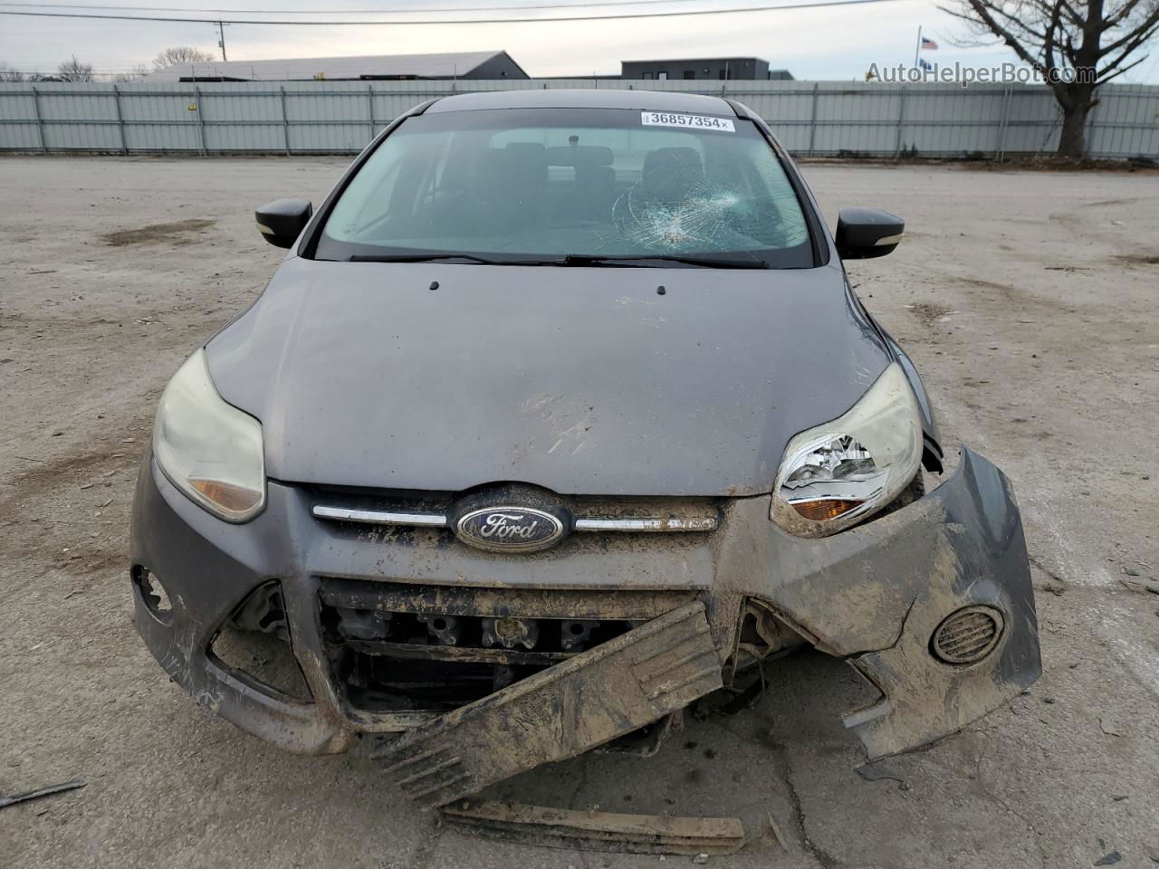 2014 Ford Focus Se Silver vin: 1FADP3F25EL177646