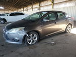 2014 Ford Focus Se Gray vin: 1FADP3F25EL400316