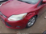 2014 Ford Focus Se Красный vin: 1FADP3F25EL441772