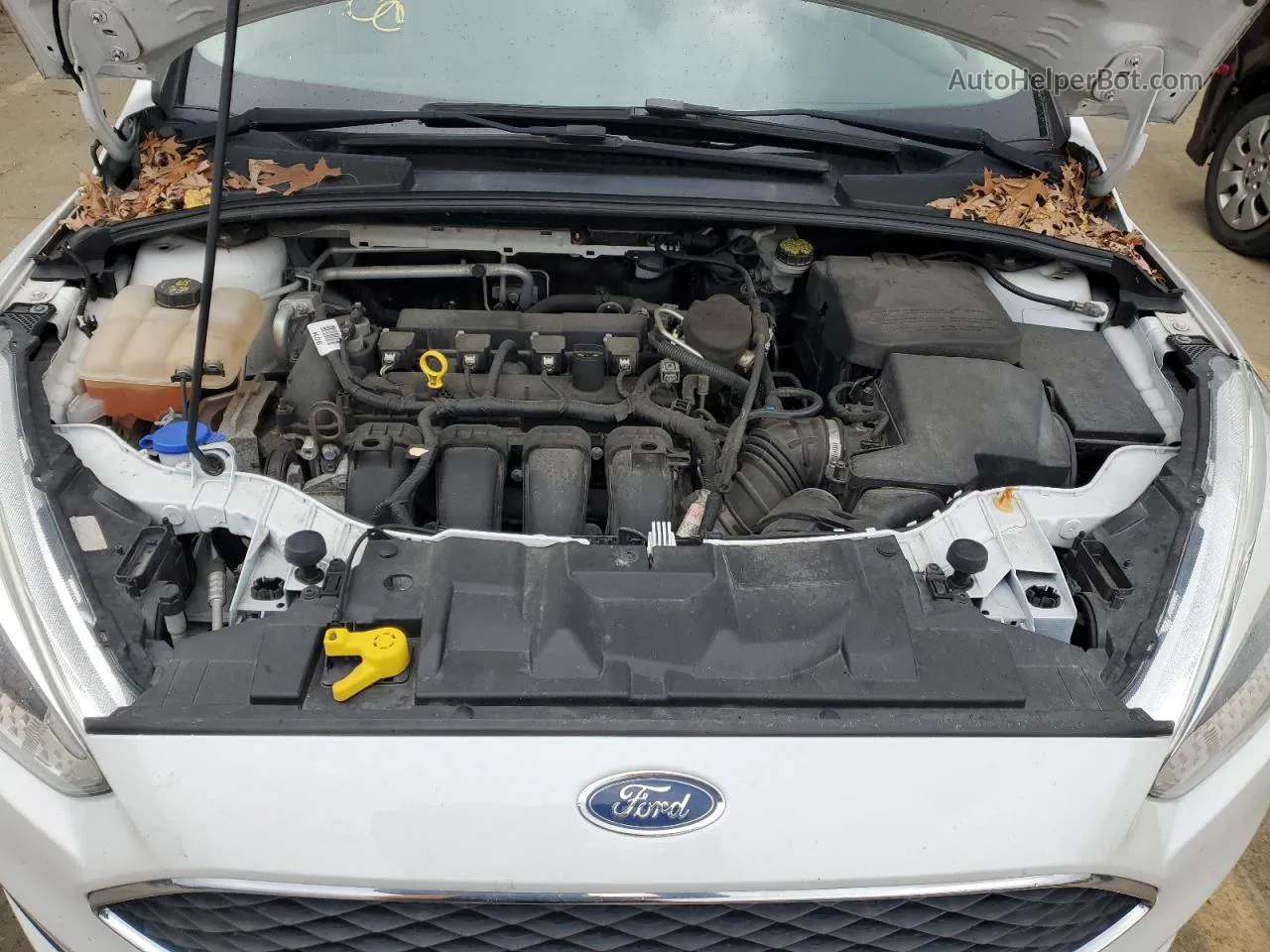 2015 Ford Focus Se Белый vin: 1FADP3F25FL292846