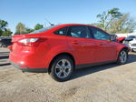 2013 Ford Focus Se Красный vin: 1FADP3F26DL103585