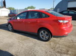 2013 Ford Focus Se Red vin: 1FADP3F26DL103585