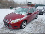 2013 Ford Focus Se Красный vin: 1FADP3F26DL218767