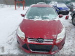 2013 Ford Focus Se Red vin: 1FADP3F26DL218767