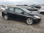 2013 Ford Focus Se Blue vin: 1FADP3F26DL333322