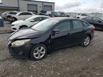 2013 Ford Focus Se Blue vin: 1FADP3F26DL333322