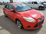 2014 Ford Focus Se Red vin: 1FADP3F26EL318238