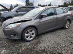 2013 Ford Focus Se Gray vin: 1FADP3F27DL124509