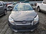 2013 Ford Focus Se Gray vin: 1FADP3F27DL124509