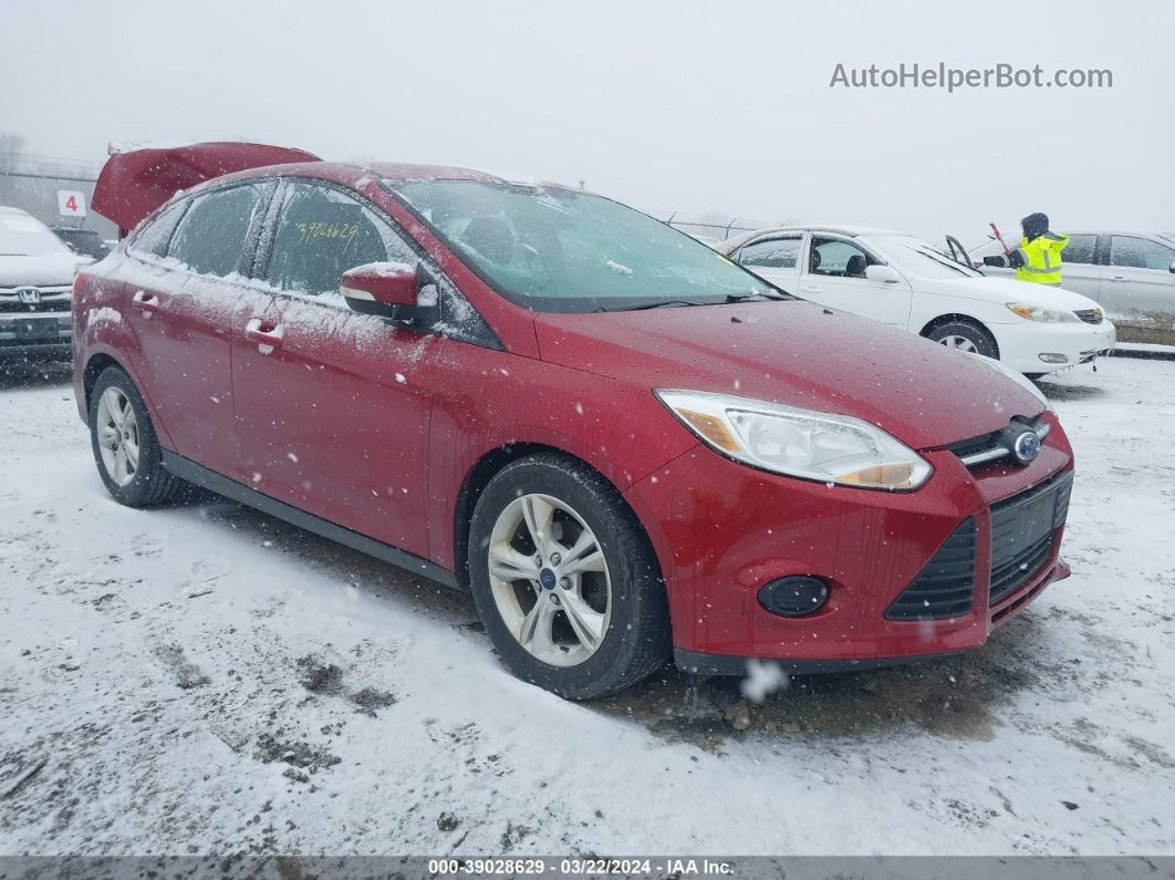 2013 Ford Focus Se Red vin: 1FADP3F27DL295440