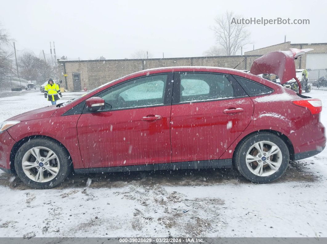 2013 Ford Focus Se Red vin: 1FADP3F27DL295440