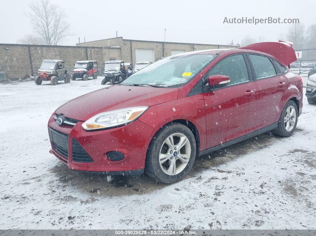 2013 Ford Focus Se Red vin: 1FADP3F27DL295440