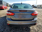 2013 Ford Focus Se Gray vin: 1FADP3F27DL298421