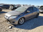 2014 Ford Focus Se Gray vin: 1FADP3F27EL442941