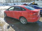 2015 Ford Focus Se Red vin: 1FADP3F27FL203312