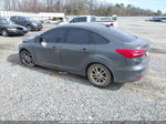 2016 Ford Focus Se Gray vin: 1FADP3F27GL393369