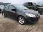 2013 Ford Focus Se Black vin: 1FADP3F28DL106259