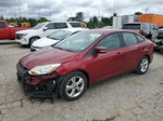 2013 Ford Focus Se Красный vin: 1FADP3F28DL130870