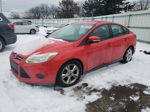 2014 Ford Focus Se Красный vin: 1FADP3F28EL150991