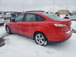 2014 Ford Focus Se Красный vin: 1FADP3F28EL150991