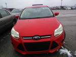 2014 Ford Focus Se Красный vin: 1FADP3F28EL150991