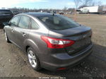 2014 Ford Focus Se Gray vin: 1FADP3F28EL192710