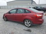 2014 Ford Focus Se Red vin: 1FADP3F28EL297988