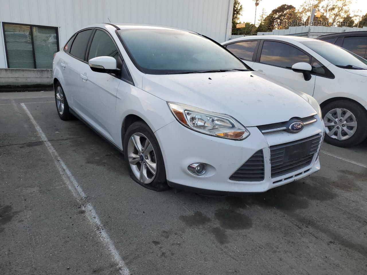 2014 Ford Focus Se White vin: 1FADP3F28EL341794