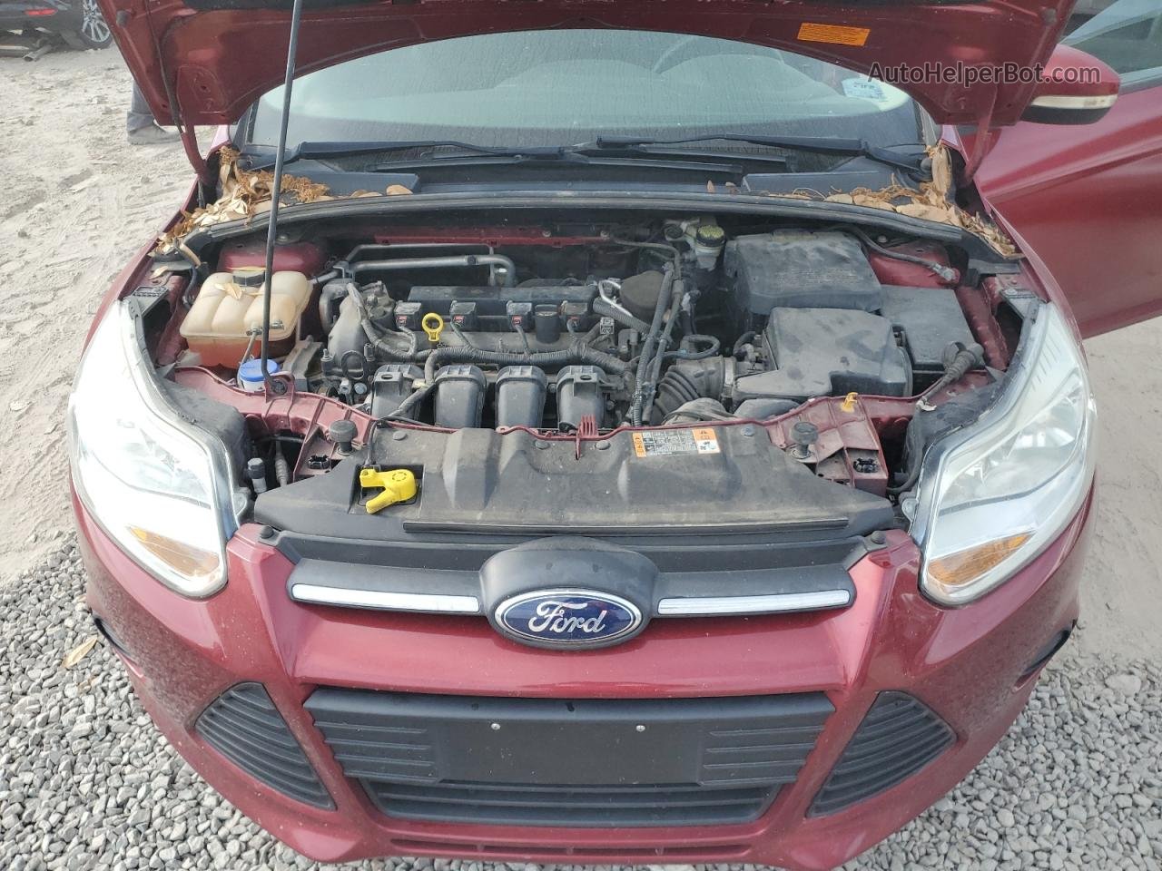 2014 Ford Focus Se Red vin: 1FADP3F28EL399145
