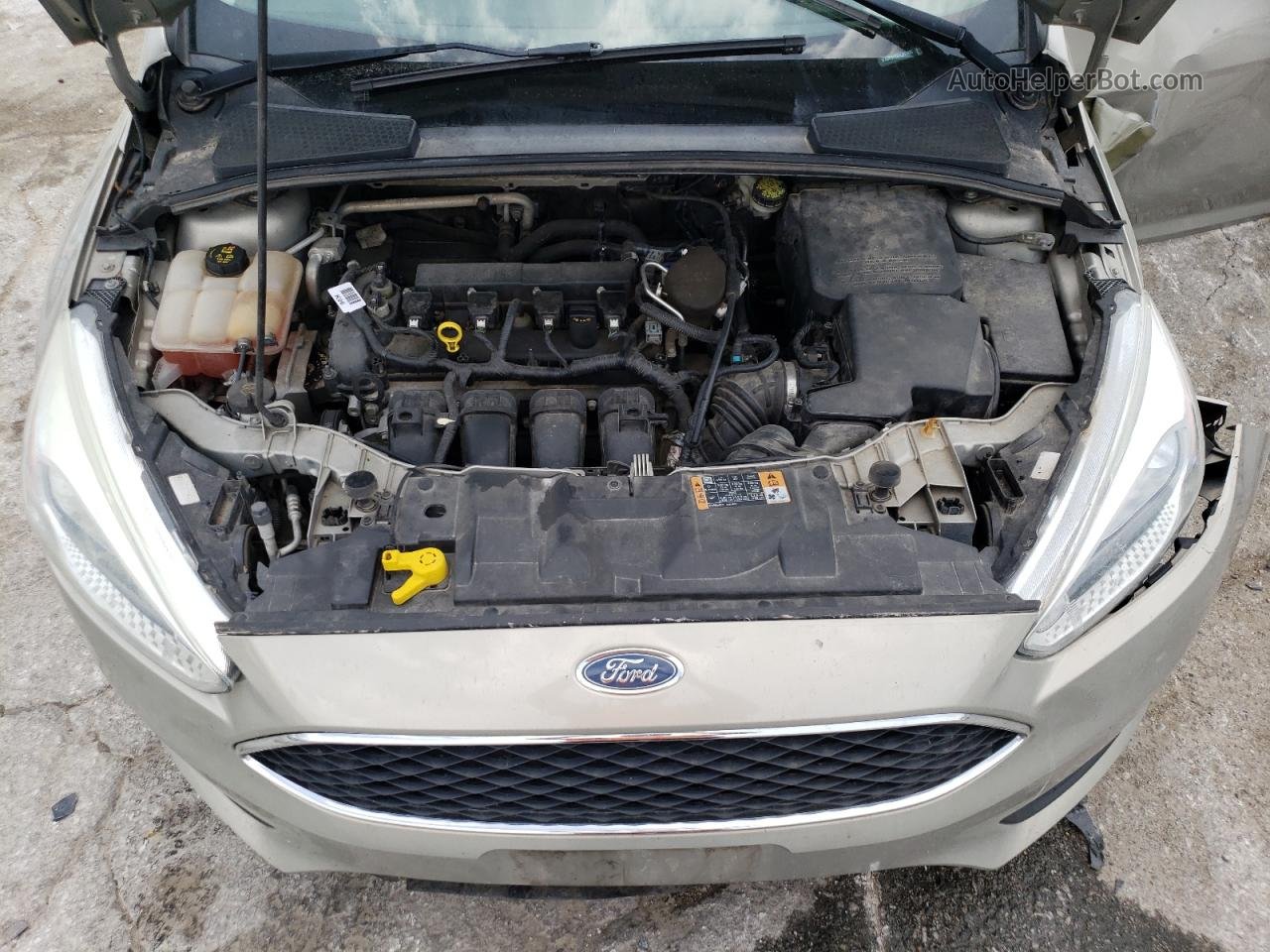 2015 Ford Focus Se Beige vin: 1FADP3F28FL317495