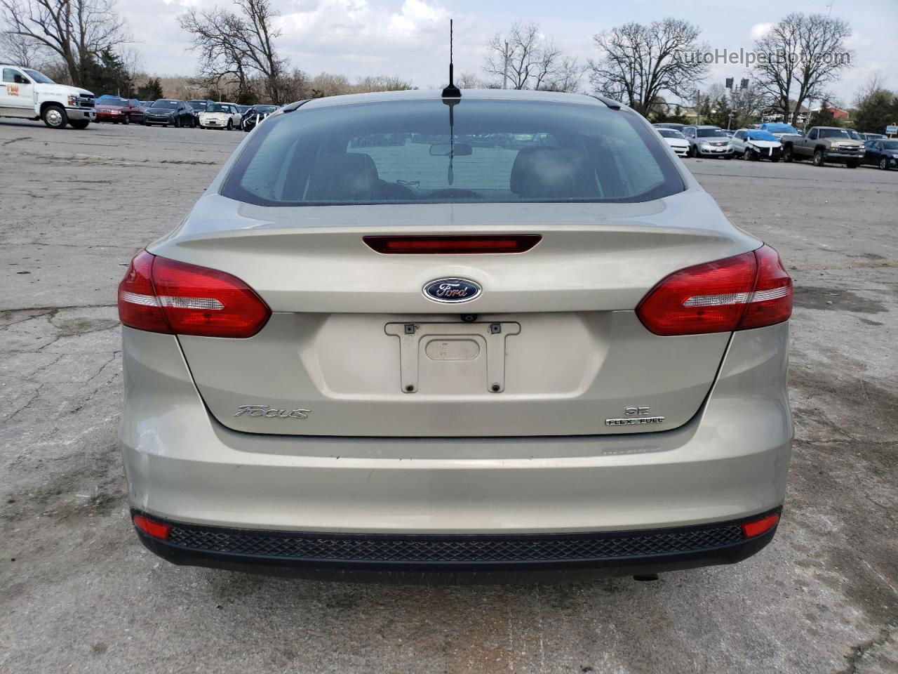 2015 Ford Focus Se Beige vin: 1FADP3F28FL317495