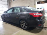 2013 Ford Focus Se Black vin: 1FADP3F29DL160900