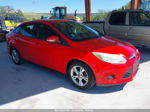 2013 Ford Focus Se Красный vin: 1FADP3F29DL241721