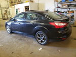 2013 Ford Focus Se Black vin: 1FADP3F29DL307572