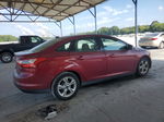 2013 Ford Focus Se Burgundy vin: 1FADP3F29DL317406