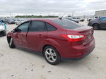 2014 Ford Focus Se Красный vin: 1FADP3F29EL236360