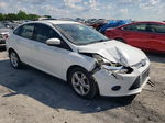 2014 Ford Focus Se White vin: 1FADP3F29EL375887