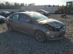 2014 Ford Focus Se Gray vin: 1FADP3F29EL415692