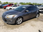 2014 Ford Focus Se Gray vin: 1FADP3F29EL428572