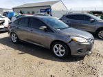 2014 Ford Focus Se Gray vin: 1FADP3F29EL428572