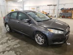 2015 Ford Focus Se Gray vin: 1FADP3F29FL239924