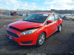 2015 Ford Focus Se Red vin: 1FADP3F29FL345886