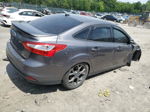 2013 Ford Focus Se Gray vin: 1FADP3F2XDL139196