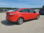 2013 Ford Focus Se Красный vin: 1FADP3F2XDL148982