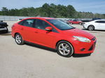 2013 Ford Focus Se Красный vin: 1FADP3F2XDL148982