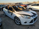 2013 Ford Focus Se White vin: 1FADP3F2XDL158198