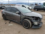 2013 Ford Focus Se Charcoal vin: 1FADP3F2XDL234714