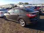 2013 Ford Focus Se Черный vin: 1FADP3F2XDL299594