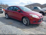 2013 Ford Focus Se Red vin: 1FADP3F2XDL368932