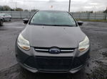 2014 Ford Focus Se Gray vin: 1FADP3F2XEL112436